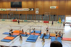 SMV 2016