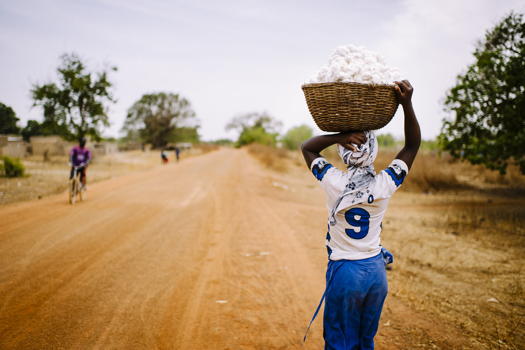 Nigna Latifa, 26, carries a basket of freshly harvested cotton, outside the Zorro villager, Burkina Faso.