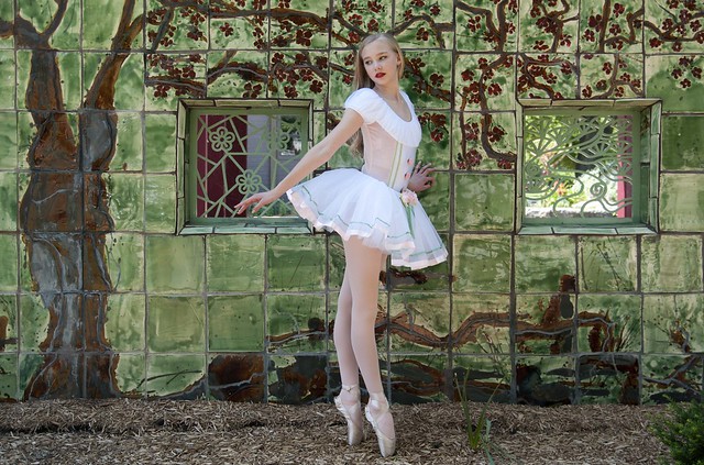 Ballet on pointe  'Fairytale Dancer'