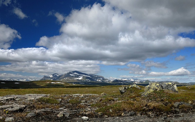 20160627-052F | Am Gipfel des Torkilstöten, hinten der Helags (1796 m) mit dem Predikstolen (links, 1690 m) sowie rechts hinten die Berge der Sylarna (1762 m). Jämtland / Schweden, 27.06.2016