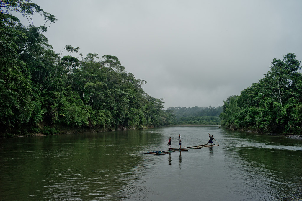Kichwa villagers, on a timber raft, transporting wood downstream on the Arajuno River, Ecuador.