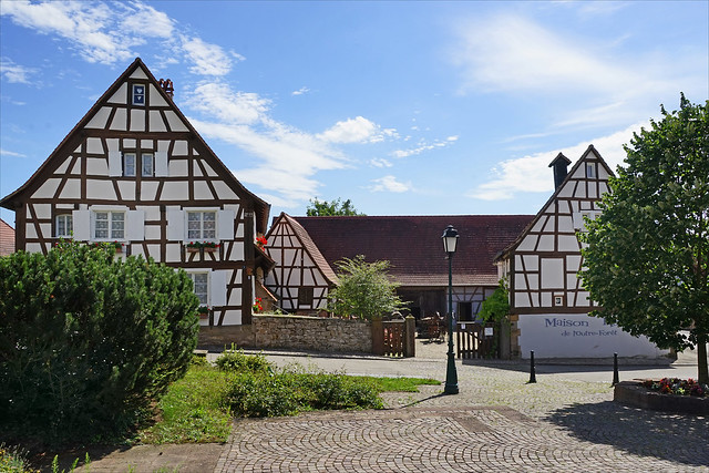 La cour de la maison rurale de l'outre-forêt (Kutzenhausen)