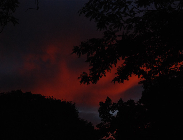 Under a Blood Red Sky