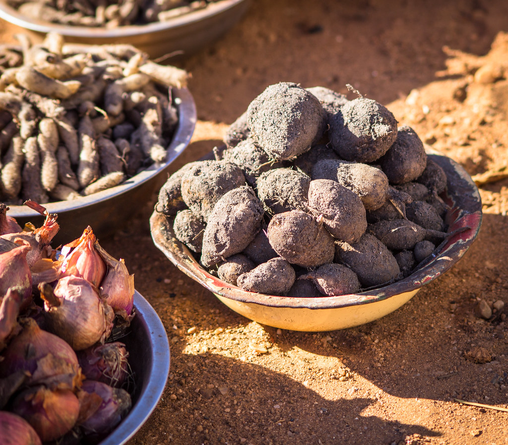 Forest foods in Zambia are diverse and nutrient rich. At a food fair in Luwingu, Zambia, in April 2017, women...