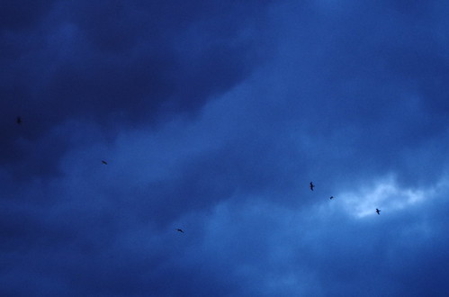 borroso blur coruña galicia handheld k50 lacoruña nightphotography notripod noche night nubes pentax ricohpentax seaside unsharp azul blue seagulls gabiotas