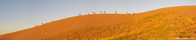 Dune Panorama