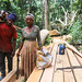 Timber industry in Cameroon