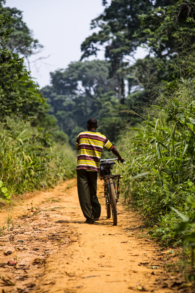 View on the way to the Tumba–Lediima Reserve, Democratic Republic of Congo.