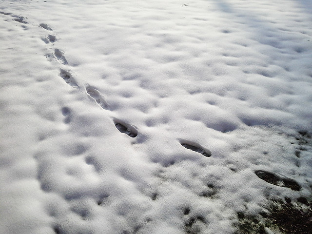 Footprint in the snow Salzburg