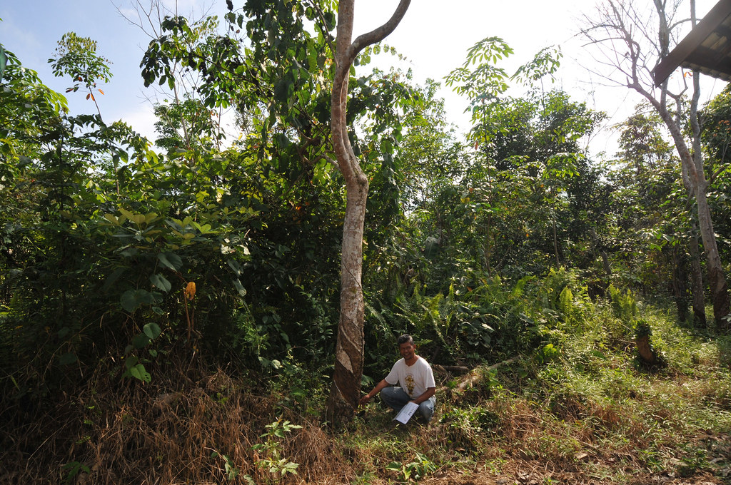 Photo by Sophie Furnival/CIFOR To learn more about this field...