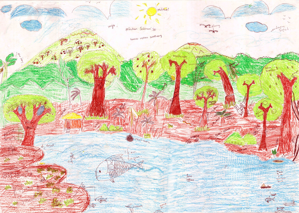 3a Present: This child's present-day landscape includes some logging, but is also rich in wildlife.