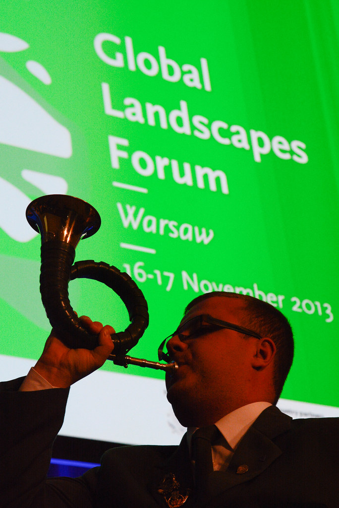 Plenary session at the Global Landscapes forum in Warsaw, Poland.