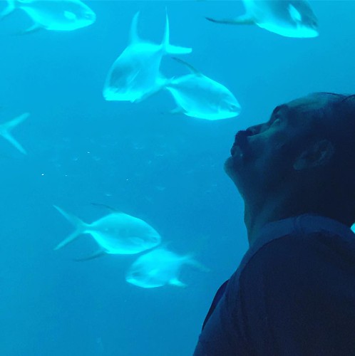 Trying my best Aquaman, my lips reach out to the electric fish-summoning their strength and… https://t.co/KjOl5h9K4Q - Posted By Steven Ogg (Simon) | by WalkingDeadCast