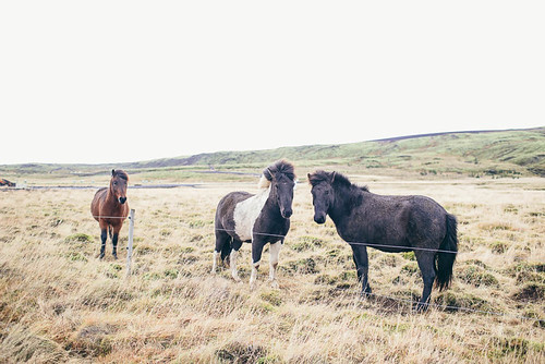iceland-ejh-4243 | by Erinn J Hale