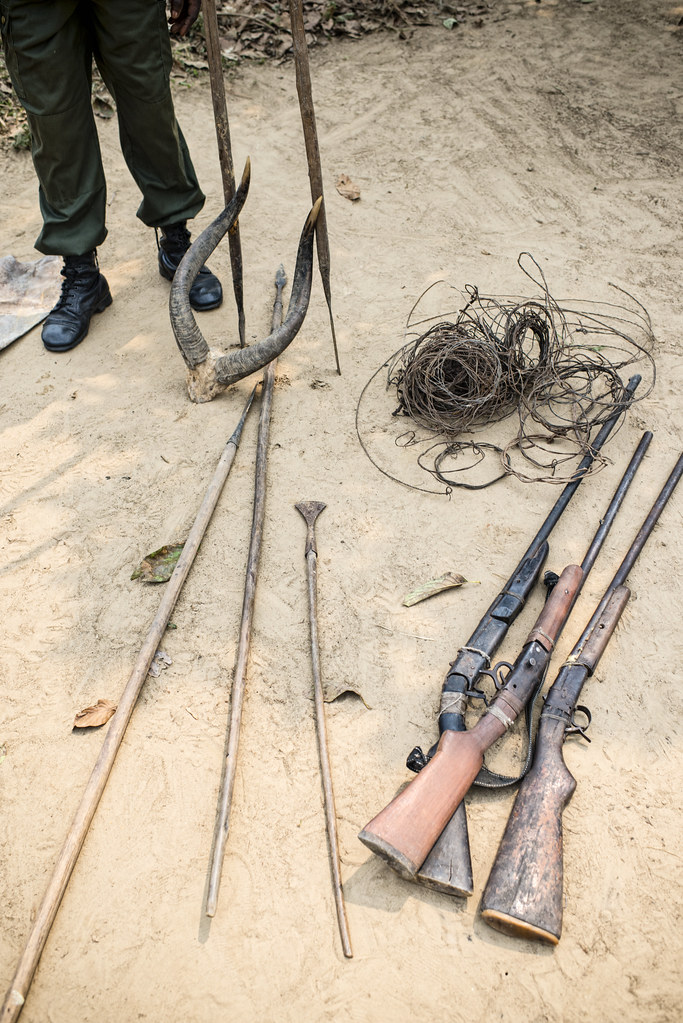 Hunting instruments seized by forest guards in the village of Pona in the Tumba–Lediima Reserve, Democratic Republic of Congo.