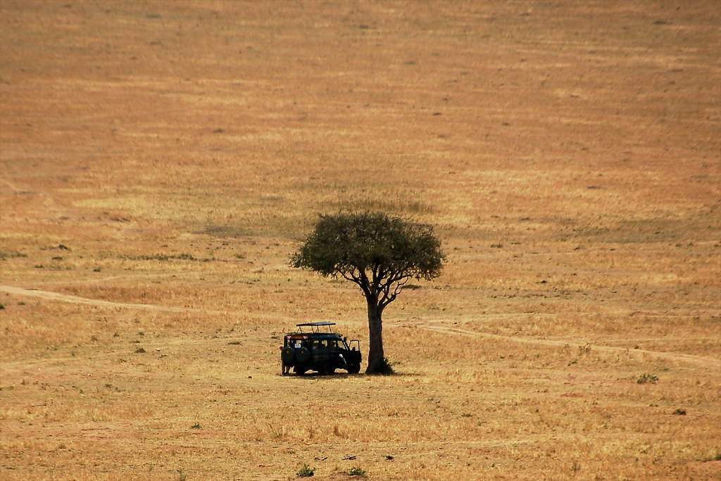 Landscape of Kenya. Photo by Tim Cronin/CIFOR cifor.org blog.cifor.org If...