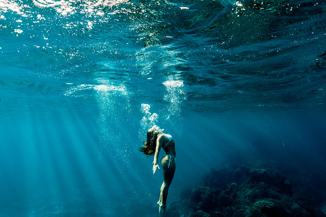 Underwater Photography in Cozumel