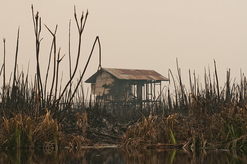 ecosystems smoke firebehaviour peat carbon airpollution stocks fire forestfires wetlands emissions forestdamage haze greenhousegasemissions kalimantan peatlands palangkaraya kabupatenpulangpisau kalimantantengah indonesia id