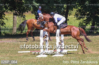 026P_064