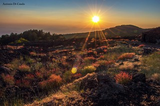 Sunset Etna