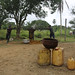 Oil palm industri in Cameroon