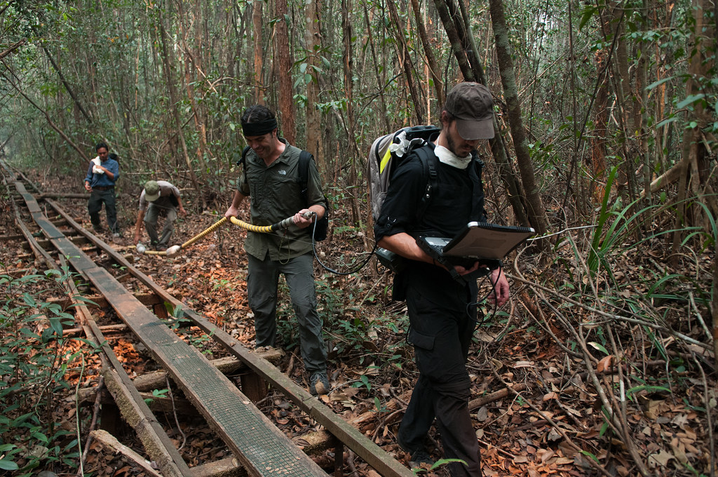 Researchers use geo-radar technology to measure peat thickness in Sebangau national park, Central Kalimantan.