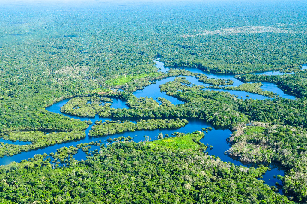 Amazon Rainforest | Aerial view of the Amazon Rainforest, ne… | Flickr