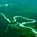 River in Papua