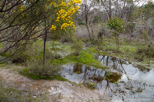 Kaiser Stuhl Conservation Park, Barossa Valley, SA by andrew52010, bushwalking landscape kaiserstuhlconservationpark barossaranges barossa barossavalley dewnr national