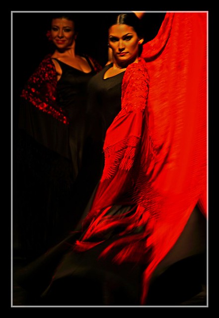 Fuerza flamenco = Flamenco force