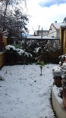 Jardín nevado