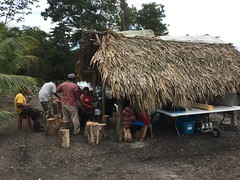 Hundreds gain new skills in onion, sheep and honey production in Belize