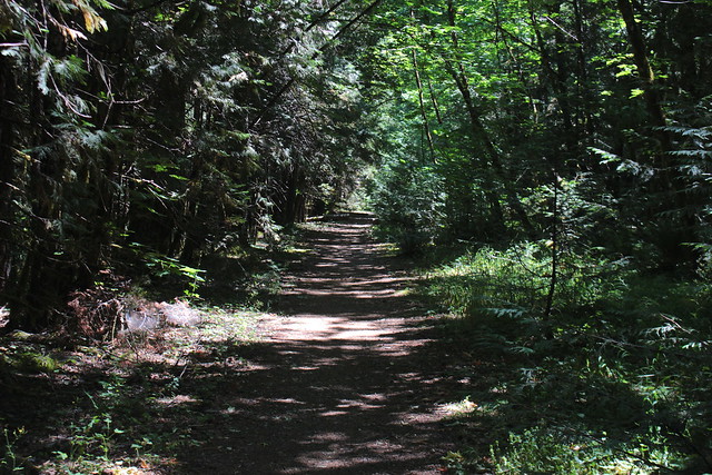 Part of the trail was on an old roadway