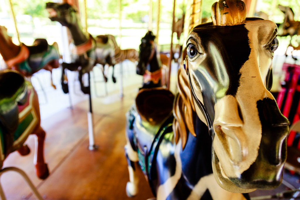 _MG_1887 | Ovid Hazen Wells Carousel 2017. Photo by Marilyn … | Flickr