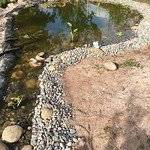 Projekt Wasser im Garten