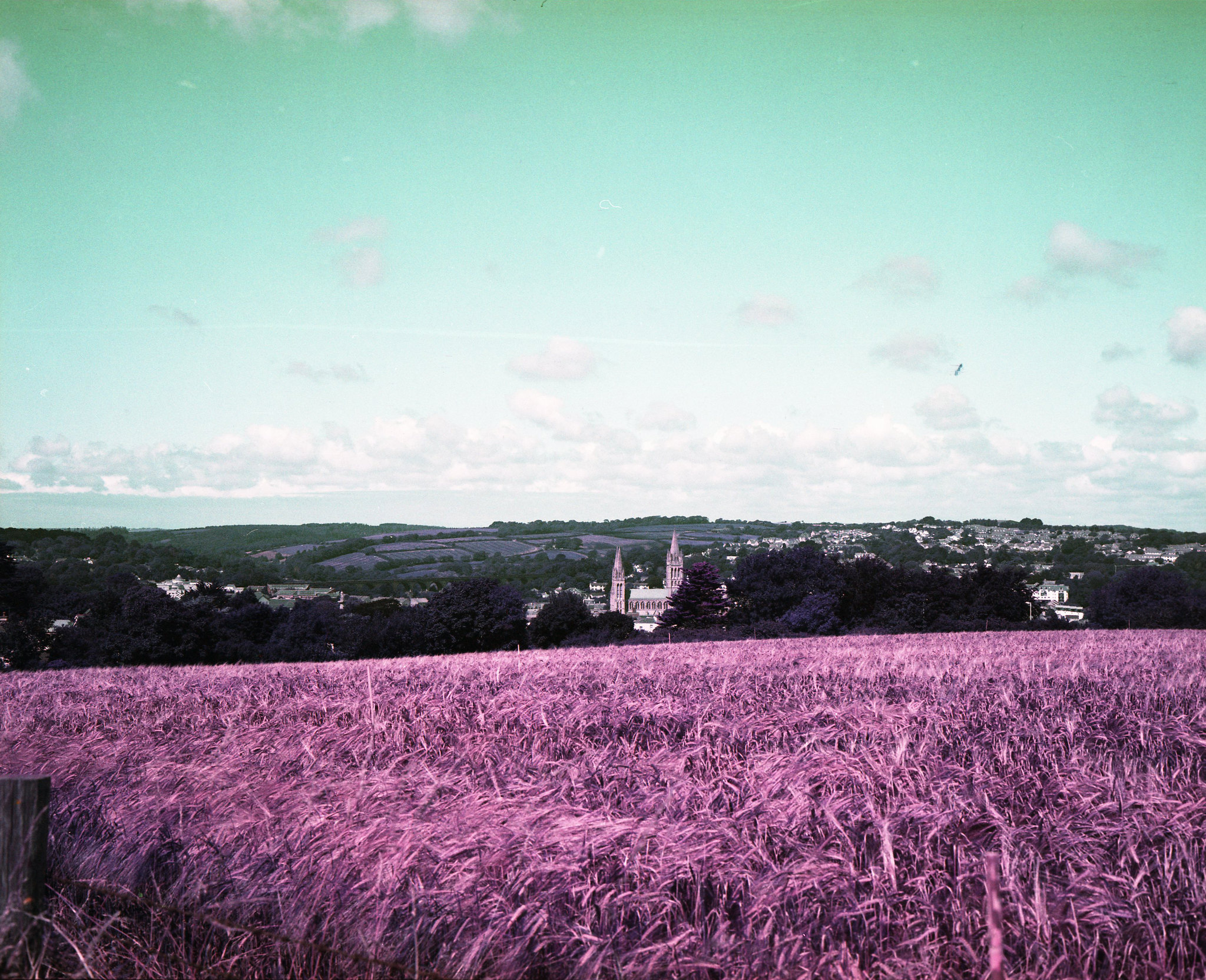 Photo Example of Lomochrome Purple XR