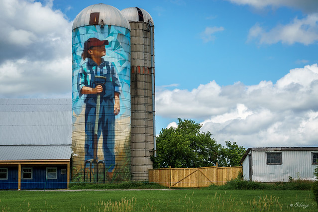Artwork on silos for Canada's 150th