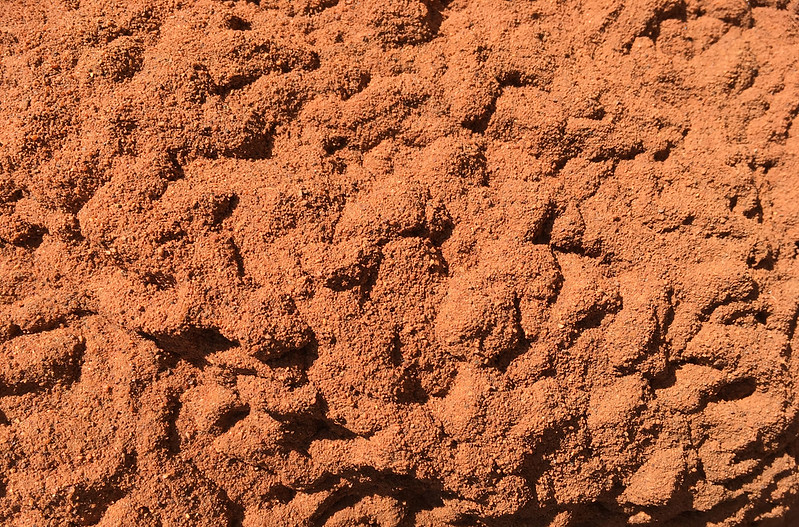 Western Australia - Menzies - termite mound