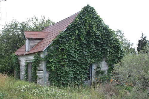 sutherlandsriver novascotia canada old abandoned house building vines