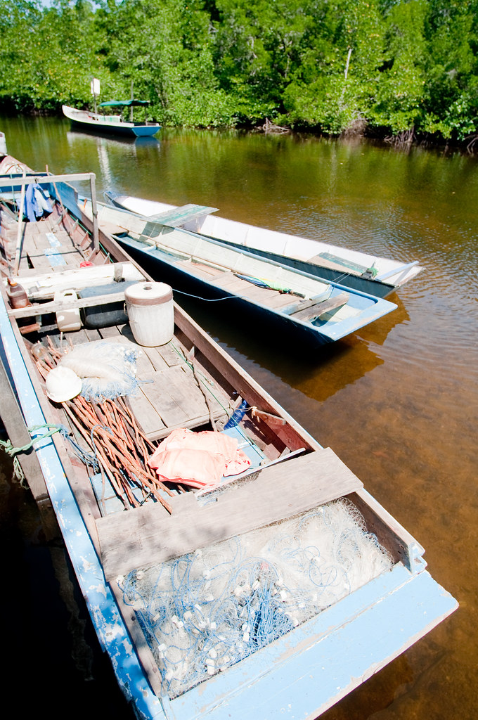 Boats on the river. East Kalimantan, Indonesia.