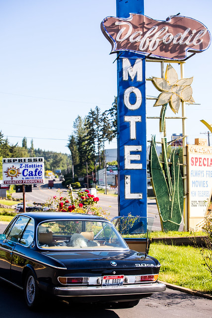 Check in at the Daffodil Motel