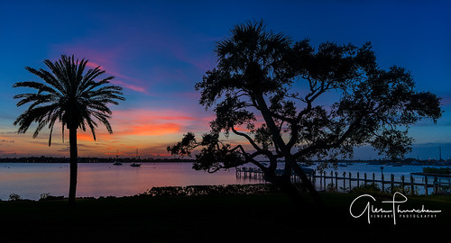 sony a7r2 sonya7r2 ilce7rm2 zeissfe1635mmf4zaoss fx fullframe scenic landscape waterscape nature outdoors sky clouds colors shadows silhouettes sunset tropical palmtrees beach harbor pier docks boats stuart florida southeastflorida martincounty
