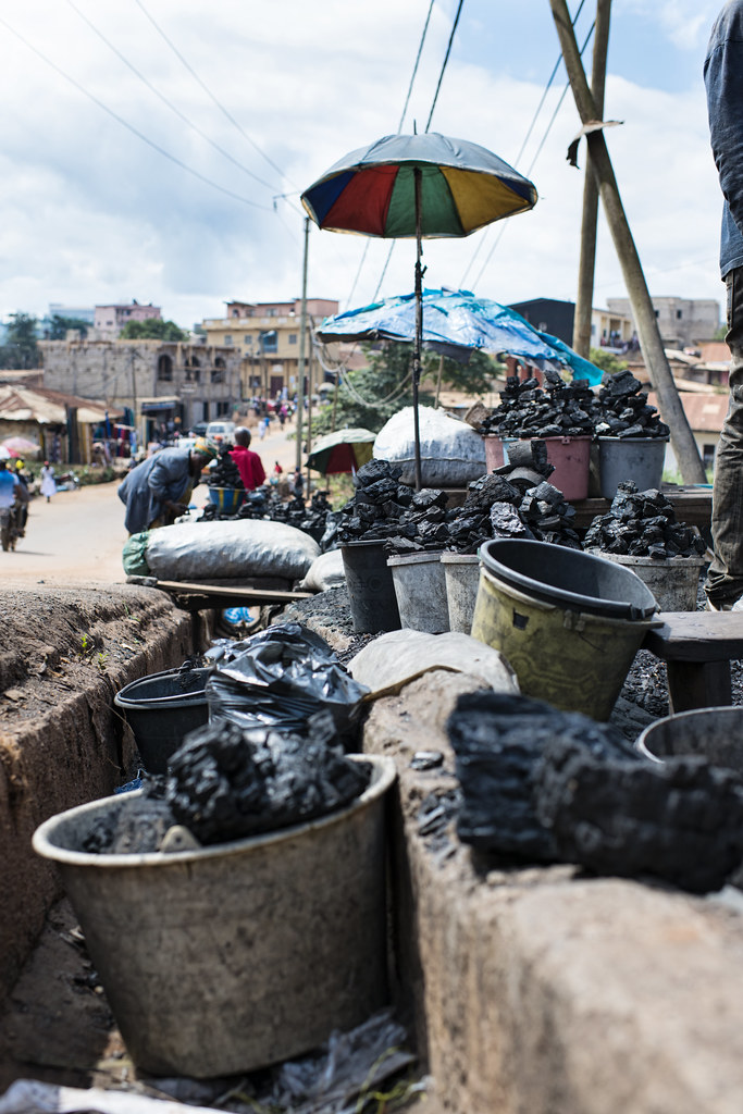 Charcoal seller at Mokolo Market. The trade is a contributor to deforestation as people rely on charcoal and firewood for...