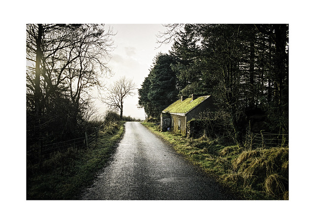 Country Lane in County Leitrim