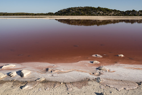 lake pink red colour water still flat salt bust sky reflection nature outdoors rottnest island perth westernaustralia australia landscape nikond750 sigma35mmf14