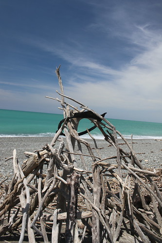 normanby beach timaru south canterbury new zealand scenic landscape driftwood sea ocean water