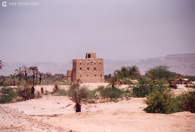 199909 Yemen Hadramaut (77)