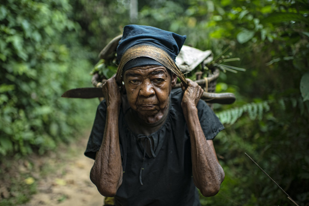 Old lady carrys her daily provisions from the reserve to the village of Masako, Kinsagani, Democratic Republic of Congo.