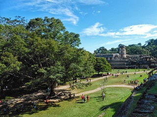 Palenque, Chiapas.  #palenque #Chiapas