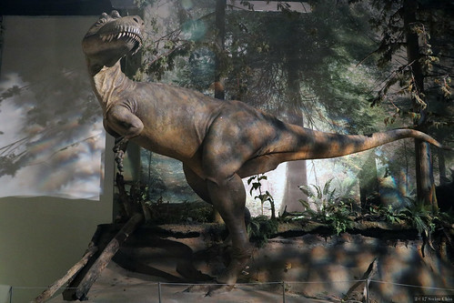 drumheller alberta canada canadian museum dinosaur fossil royaltyrrell 2017aimg9543b
